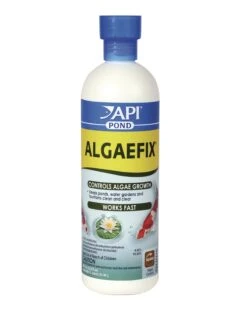 API Pond Algaefix Algae Control Solution