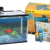 Aqua One Splish & Splash Starter Kit Med 21L Glass Aquarium -Pet Supplies Shop 0 aqua one splish splash starter kit med 21l glass aquarium