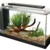 Fluval Spec Aquarium Tank Black -Pet Supplies Shop 0 fluval spec aquarium black