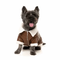 FuzzYard Ava Dog Jacket Brown