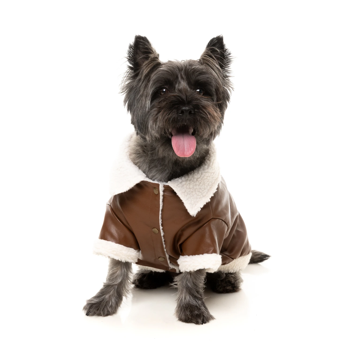 FuzzYard Ava Dog Jacket Brown 3 FuzzYard Ava Dog Jacket Brown