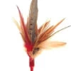 Go Cat Da Bird Wild Thing Feather Replacement Cat Toy 1 Go Cat Da Bird Wild Thing Feather Replacement Cat Toy -Pet Supplies Shop 0 go cat da bird wild thing feather replacement cat toy