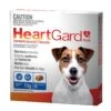 Heartgard Plus Chews For Dogs Up To 11kg 6 Pack -Pet Supplies Shop 0 heartgard plus chews for dogs up to 11kg 6 pack