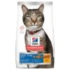 Hill's Science Diet Adult Oral Care Dry Cat Food -Pet Supplies Shop 0 hill s science diet adult oral care dry cat food