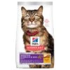 Hill's Science Diet Adult Sensitive Stomach & Skin Dry Cat Food 1 Hill's Science Diet Adult Sensitive Stomach & Skin Dry Cat Food -Pet Supplies Shop 0 hill s science diet adult sensitive stomach skin dry cat food