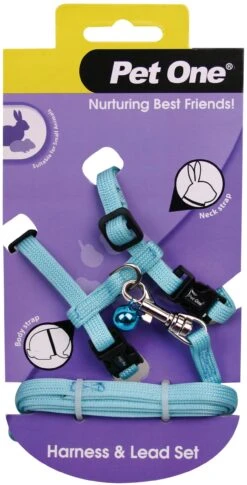 Pet One Leash & Harness For Small Animals Aqua