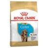 Royal Canin Dog Cocker Spaniel Puppy Dry Food 3kg -Pet Supplies Shop 0 royal canin dog cocker spaniel puppy dry food 3kg