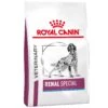 Royal Canin Veterinary Diet Renal Special Adult Dry Dog Food 2kg 2 Royal Canin Veterinary Diet Renal Special Adult Dry Dog Food 2kg -Pet Supplies Shop 0 royal canin veterinary diet renal special adult dry dog food 2kg dfafef40 1040 417c b687 7a9dcca9f2fd