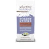 Selective Naturals Forest Sticks Guinea Pig Treats 60g 2 Selective Naturals Forest Sticks Guinea Pig Treats 60g -Pet Supplies Shop 0 selective naturals forest sticks guinea pig treats 60g