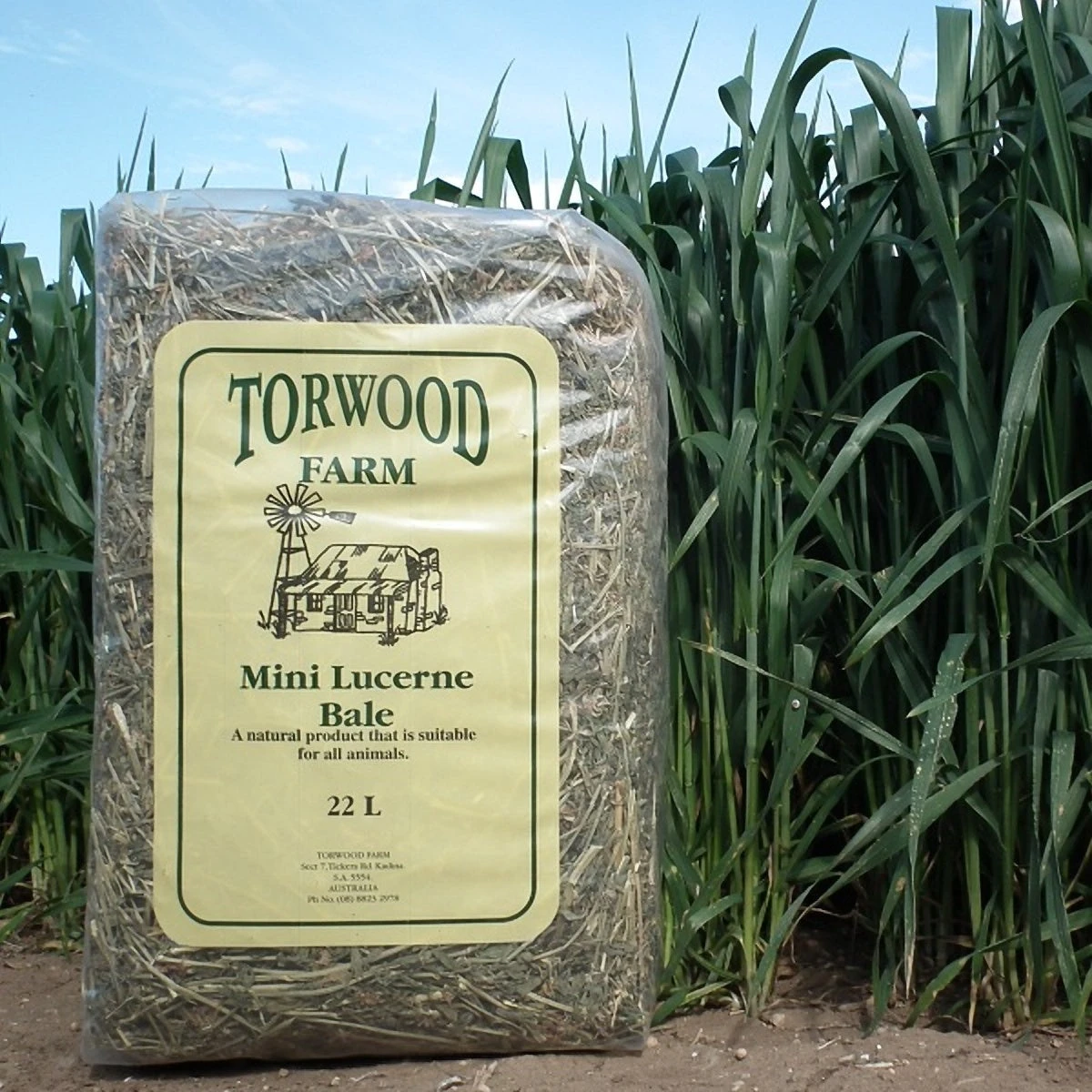 Torwood Farm Mini Lucerene Bale 22L 4 Torwood Farm Mini Lucerene Bale 22L - Image 2