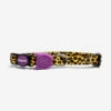 Zee Cat Honey Cat Collar -Pet Supplies Shop 0 zee cat honey cat collar