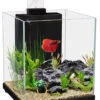 Aqua One Betta Sanctuary Glass Aquarium Black -Pet Supplies Shop 1 aqua one betta sanctuary glass aquarium black
