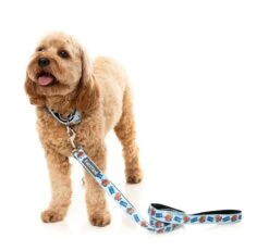 FuzzYard Ahoy There! Dog Collar 8 FuzzYard Ahoy There! Dog Collar -Pet Supplies Shop 1 fuzzyard ahoy there dog collar
