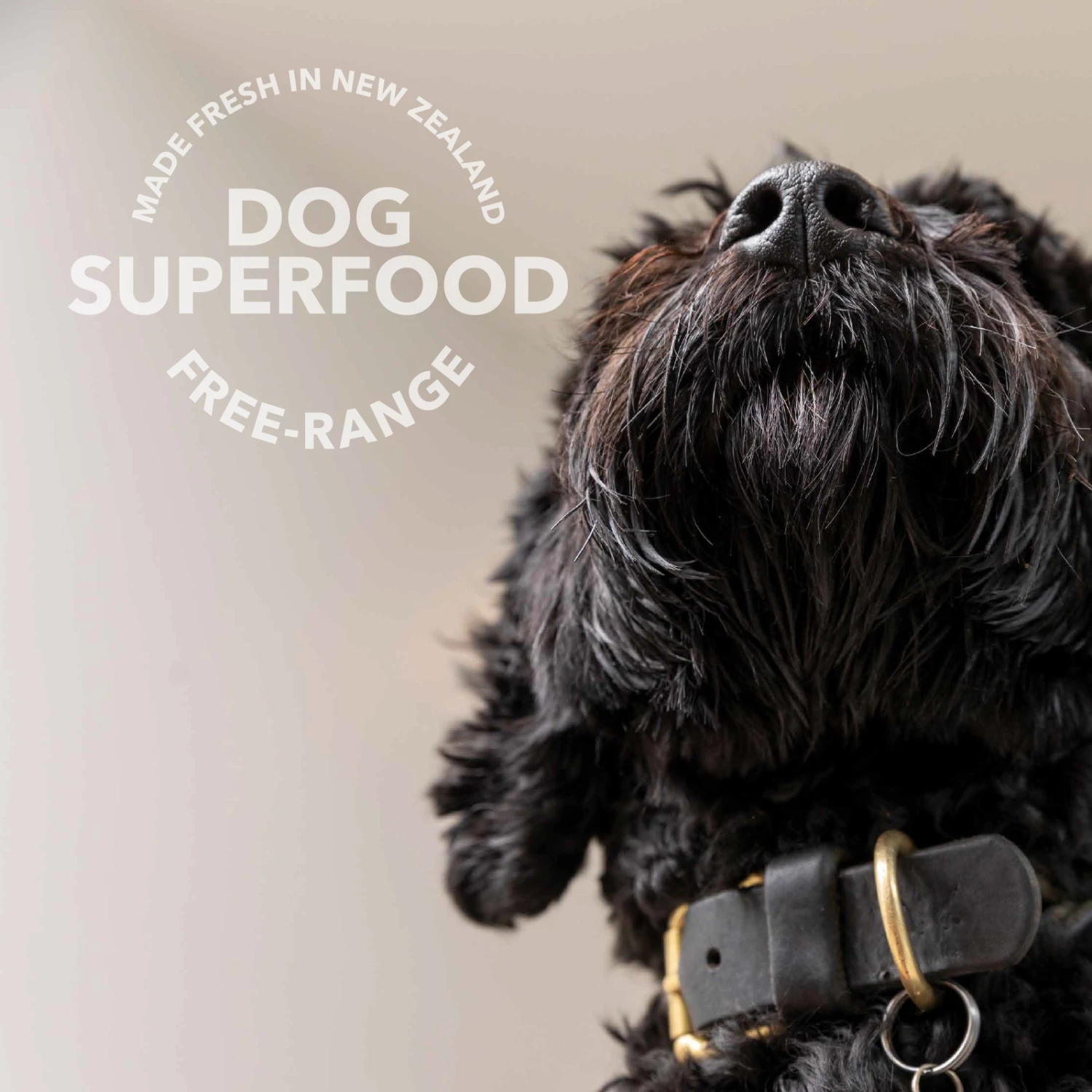 K9 Natural Grain Free Freeze Dried Dog Food Supplement Booster Beef Green Tripe 4 K9 Natural Grain Free Freeze Dried Dog Food Supplement Booster Beef Green Tripe - Image 2