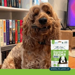 Bell & Bone Dental Sticks Chicken Mint And Seaweed -Pet Supplies Shop 10 bell bone dog dental sticks chicken mint and seaweed