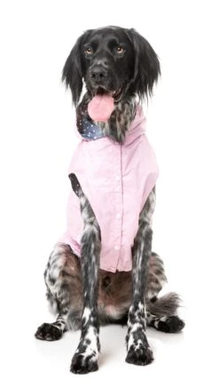 FuzzYard Flipside Dog Raincoat Pink 23 FuzzYard Flipside Dog Raincoat Pink -Pet Supplies Shop 10 fuzzyard flipside dog raincoat pink