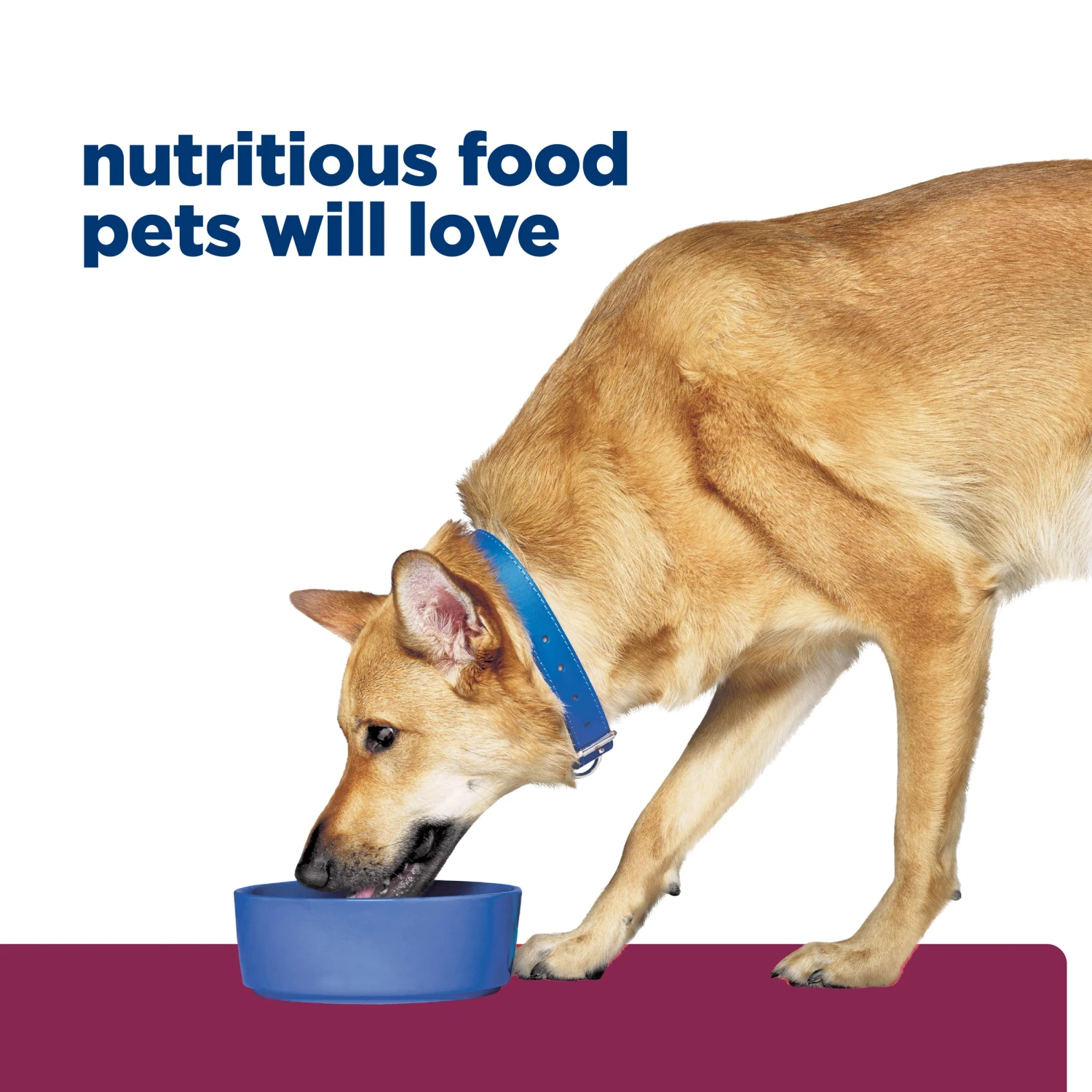 Hill's Prescription Diet I/d Digestive Care Chicken & Vegetable Stew Canned Dog Food 156g X 24 13 Hill's Prescription Diet I/d Digestive Care Chicken & Vegetable Stew Canned Dog Food 156g X 24 - Image 11