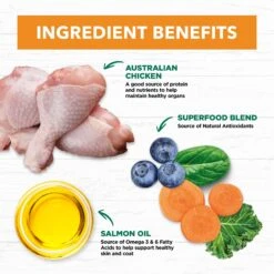 Ivory Coat Adult Grain Free Chicken Cat Dry Food 4kg 23 Ivory Coat Adult Grain Free Chicken Cat Dry Food 4kg -Pet Supplies Shop 10 ivory coat adult grain free chicken cat dry food