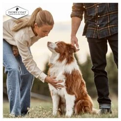 Ivory Coat Adult Grain Free Chicken Stew Dog Wet Food 400g X 12 18 Ivory Coat Adult Grain Free Chicken Stew Dog Wet Food 400g X 12 -Pet Supplies Shop 10 ivory coat adult grain free chicken stew dog wet food 400g x 12