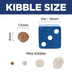 Hill's Science Diet Adult 11+ Senior Small And Mini Senior Dry Dog Food 2.04kg -Pet Supplies Shop 11 hills science diet adult 11 senior small paws senior dry dog food 2 04kg