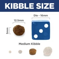 Hill's Science Diet Adult Light Dry Dog Food 12kg -Pet Supplies Shop 11 hills science diet adult light dry dog food 12kg