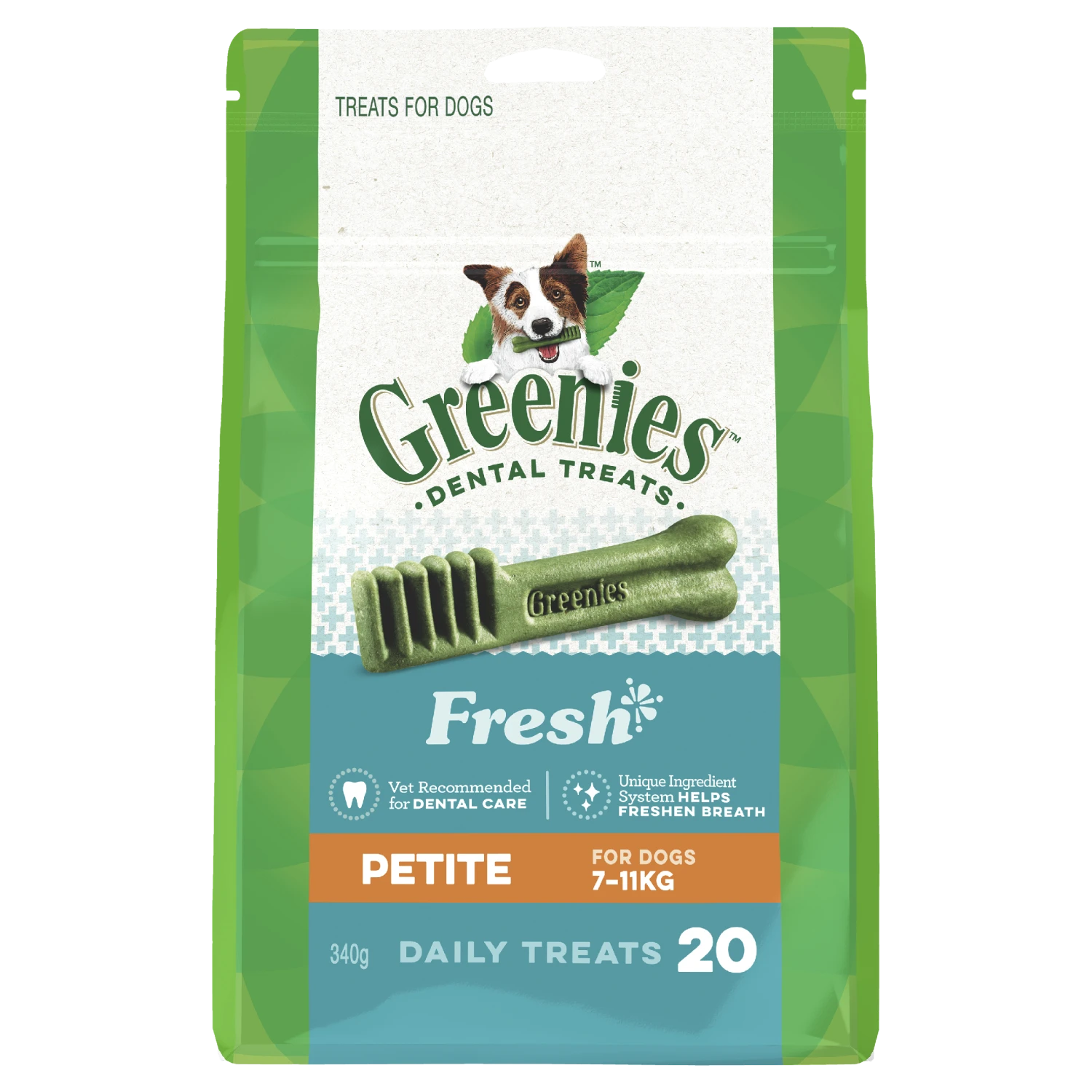 Greenies Dog Fresh Mint Dental Health Treats For Petite Dogs 340g 3 Greenies Dog Fresh Mint Dental Health Treats For Petite Dogs 340g