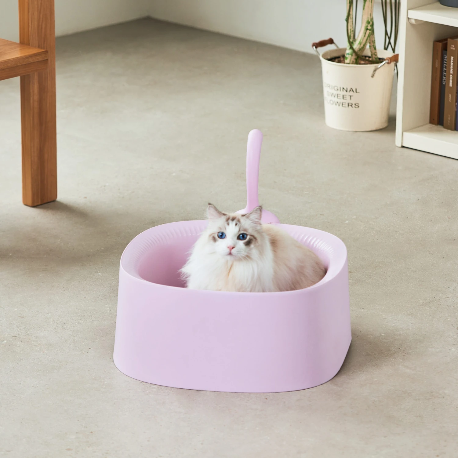 Michu Macaron Open High Edge Extra Large Cat Litter Box Taro 4 Michu Macaron Open High Edge Extra Large Cat Litter Box Taro - Image 2