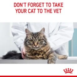 Royal Canin Hairball Care With Gravy Adult Wet Cat Food Pouches 85g X 12 25 Royal Canin Hairball Care With Gravy Adult Wet Cat Food Pouches 85g X 12 -Pet Supplies Shop 12 royal canin hairball care with gravy adult wet cat food pouches 85g x 12