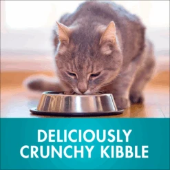 Purina ONE Healthy Weight With Chicken Adult Dry Cat Food 1.4kg 9 Purina ONE Healthy Weight With Chicken Adult Dry Cat Food 1.4kg -Pet Supplies Shop 12266887053342