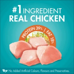 Purina ONE Senior 7+ With Chicken Adult Dry Cat Food 1.4kg -Pet Supplies Shop 12266890854430