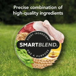 Supercoat Chicken Large Breed Puppy Dry Dog Food 18kg -Pet Supplies Shop 12432264527902