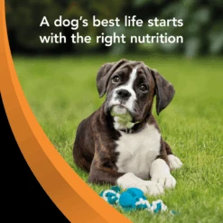 Supercoat Chicken Large Breed Puppy Dry Dog Food 18kg -Pet Supplies Shop 12432271933470