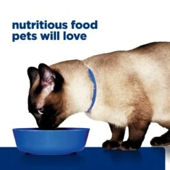 Hill's Prescription Diet Z/d Skin/Food Sensitivities Canned Cat Food 156g X 24 30 Hill's Prescription Diet Z/d Skin/Food Sensitivities Canned Cat Food 156g X 24 -Pet Supplies Shop 13 hills prescription diet z d skin food sensitivities canned cat food