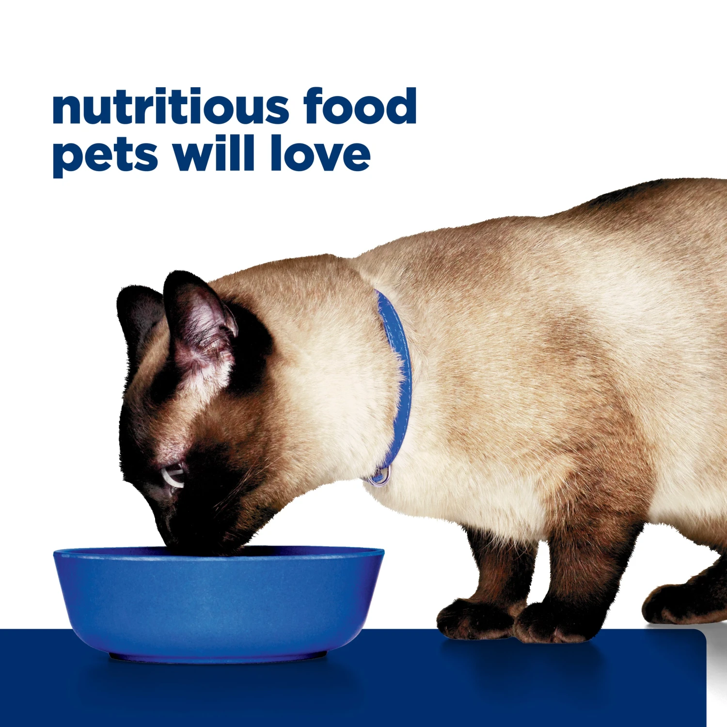 Hill's Prescription Diet Z/d Skin/Food Sensitivities Canned Cat Food 156g X 24 16 Hill's Prescription Diet Z/d Skin/Food Sensitivities Canned Cat Food 156g X 24 - Image 14