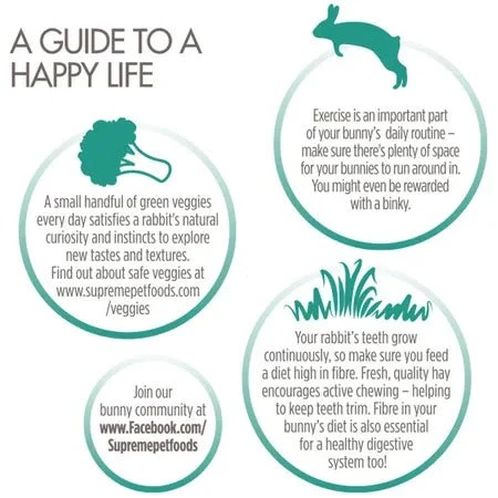 Science Selective Naturals Grain Free Rabbit Food 1.5kg 6 Science Selective Naturals Grain Free Rabbit Food 1.5kg - Image 4