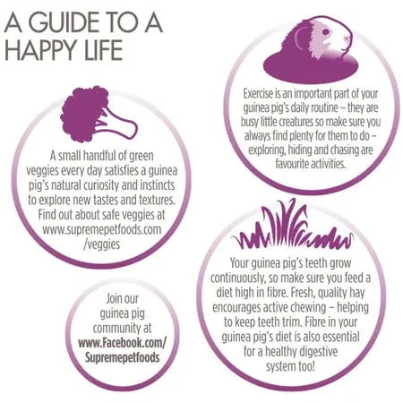 Science Selective Naturals Grain Free Guinea Pig Food 1.5kg 5 Science Selective Naturals Grain Free Guinea Pig Food 1.5kg - Image 3