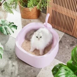 Michu Macaron Open High Edge Extra Large Cat Litter Box Taro 18 Michu Macaron Open High Edge Extra Large Cat Litter Box Taro -Pet Supplies Shop 1 85240fff 2cdf 421b 97e0 492c5149e075