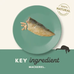 Applaws Wet Cat Whole Mackeral Fillet Treat 30g X 5 -Pet Supplies Shop 2 applaws wet cat whole mackeral fillet treat 30g x 5