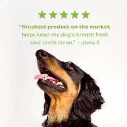 Bell & Bone Dental Sticks Chicken Mint And Seaweed -Pet Supplies Shop 2 bell bone dog dental sticks chicken mint and seaweed