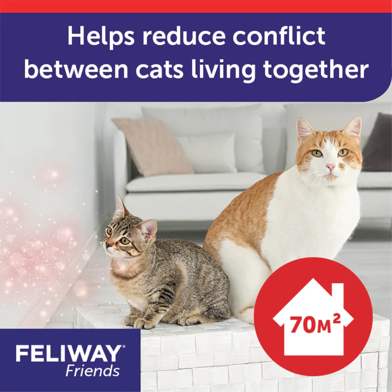 CEVA Feliway Friends Diffuser & Refill 48ml 6 CEVA Feliway Friends Diffuser & Refill 48ml - Image 4