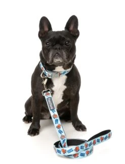 FuzzYard Ahoy There! Dog Collar 9 FuzzYard Ahoy There! Dog Collar -Pet Supplies Shop 2 fuzzyard ahoy there dog collar