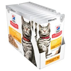 Hill's Science Diet Adult Urinary Hairball Control Chicken Pouch Cat Food 85g X 12 12 Hill's Science Diet Adult Urinary Hairball Control Chicken Pouch Cat Food 85g X 12 -Pet Supplies Shop 2 hill s science diet adult urinary hairball control chicken pouch cat food 85g x 12