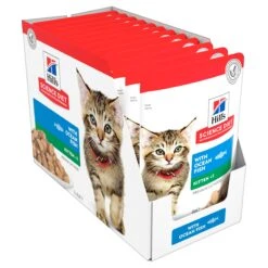 Hill's Science Diet Kitten Ocean Fish Pouch Cat Food 85g X 12 10 Hill's Science Diet Kitten Ocean Fish Pouch Cat Food 85g X 12 -Pet Supplies Shop 2 hill s science diet kitten ocean fish pouch cat food 85g x 12