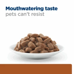 Hill's Prescription Diet K/d Kidney Care Chicken Cat Food Pouches 85g X 12 -Pet Supplies Shop 2 hills prescription diet k d kidney care chicken cat food pouches 85g x 12