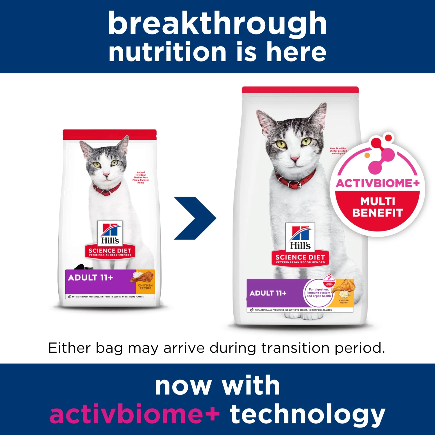 Hill's Science Diet Adult 11+ Senior Dry Cat Food 5 Hill's Science Diet Adult 11+ Senior Dry Cat Food - Image 3