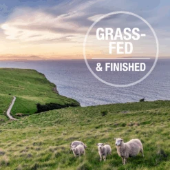 K9 Natural Grain Free Freeze Dried Dog Food Topper Lamb & Salmon 100g -Pet Supplies Shop 2 k9 natural grain free freeze dried dog food topper lamb salmon 100g