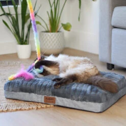 Kazoo Fluffy Rainbow Tail Cat Toy -Pet Supplies Shop 2 kazoo fluffy rainbow tail cat toy