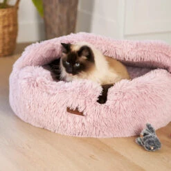 Kazoo Koala Cuddles Cat Toy 7 Kazoo Koala Cuddles Cat Toy -Pet Supplies Shop 2 kazoo koala cuddles cat toy