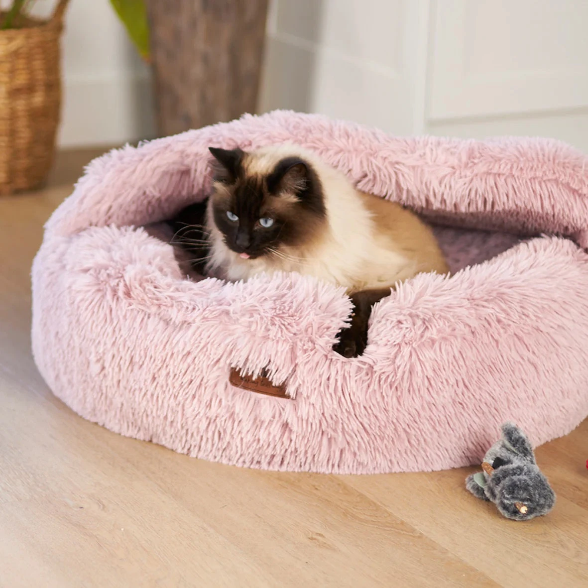 Kazoo Koala Cuddles Cat Toy 5 Kazoo Koala Cuddles Cat Toy - Image 3