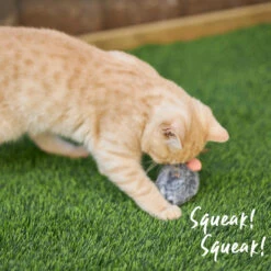 Kazoo Noisy Mouse Cat Toy -Pet Supplies Shop 2 kazoo noisy mouse cat toy